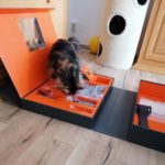 BEMER-andereTiere-1