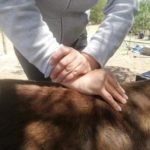 cta-chiropraktik Manualtherapie